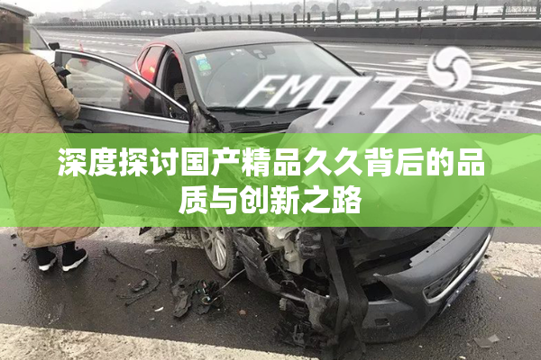 深度探讨国产精品久久背后的品质与创新之路