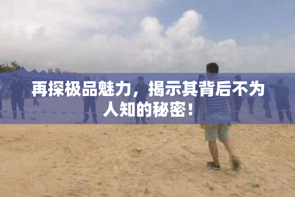 再探极品魅力，揭示其背后不为人知的秘密！