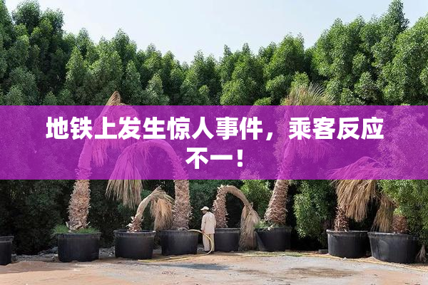地铁上发生惊人事件，乘客反应不一！