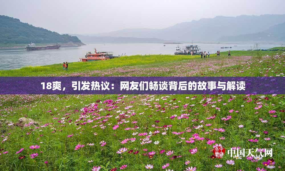 18爽，引发热议：网友们畅谈背后的故事与解读