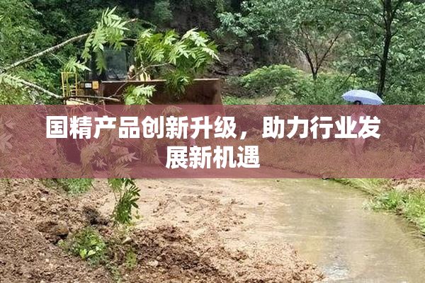 国精产品创新升级，助力行业发展新机遇