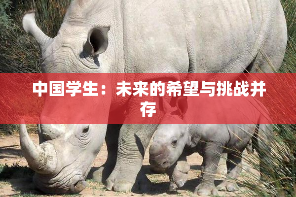 中国学生：未来的希望与挑战并存