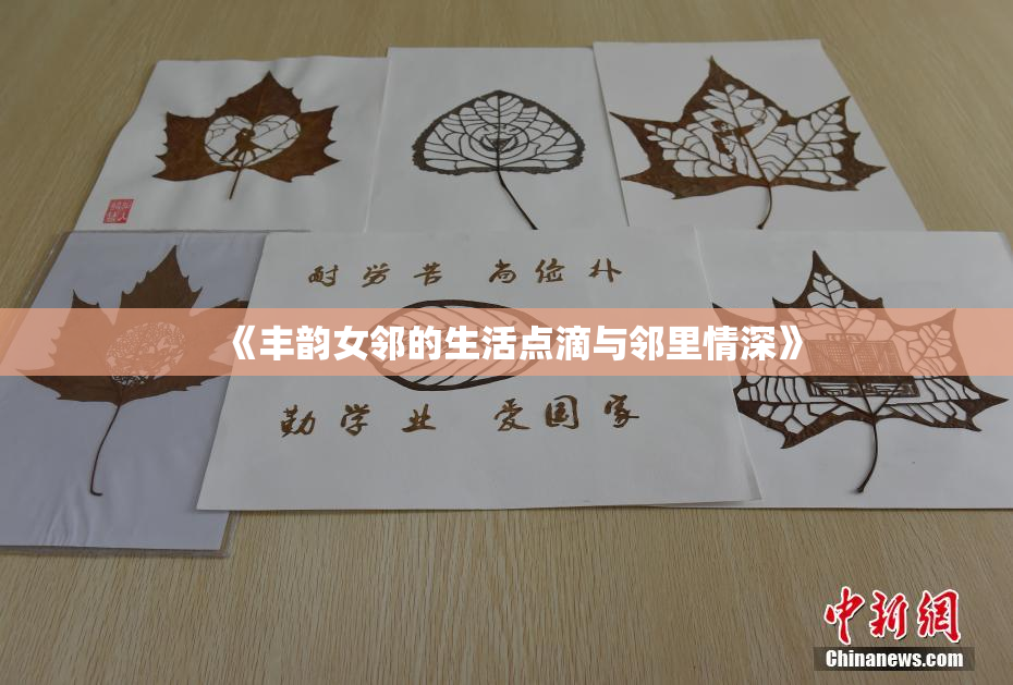 《丰韵女邻的生活点滴与邻里情深》