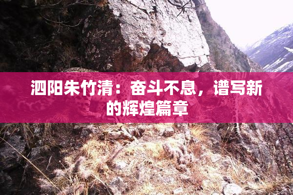 泗阳朱竹清：奋斗不息，谱写新的辉煌篇章