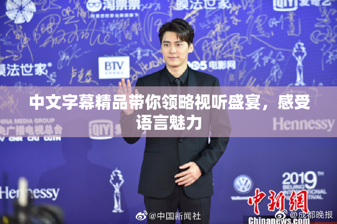 中文字幕精品带你领略视听盛宴，感受语言魅力
