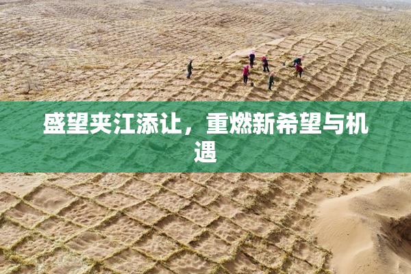 盛望夹江添让，重燃新希望与机遇