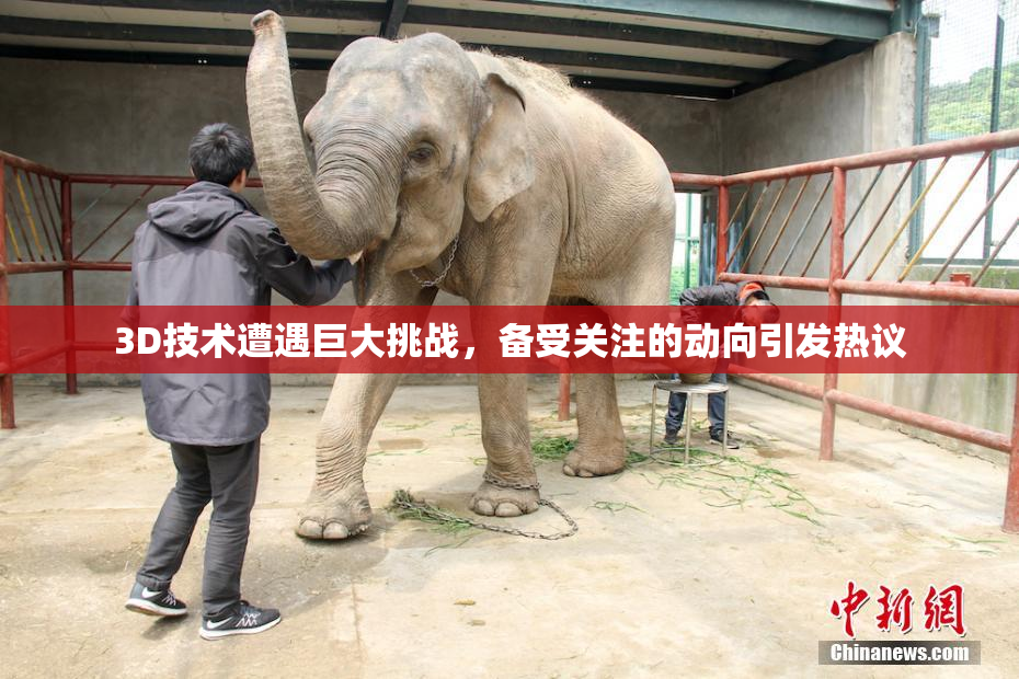 3D技术遭遇巨大挑战，备受关注的动向引发热议