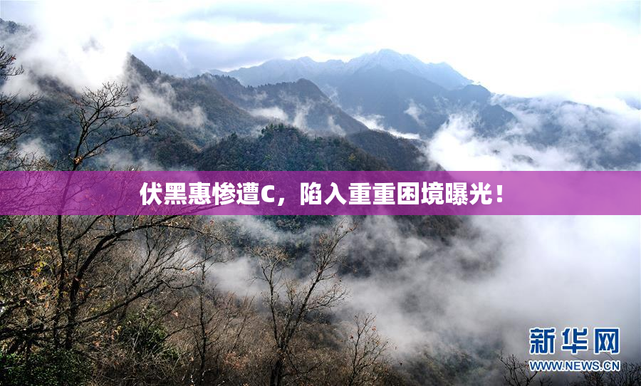 伏黑惠惨遭C，陷入重重困境曝光！