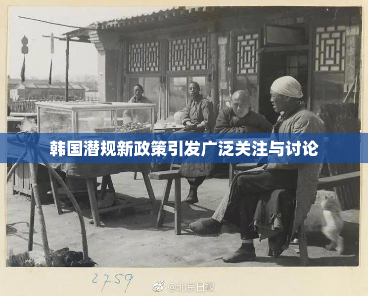 韩国潜规新政策引发广泛关注与讨论