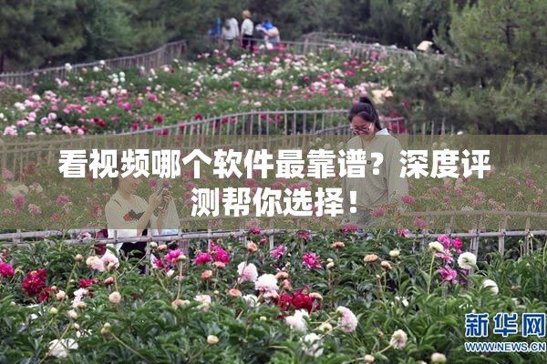 看视频哪个软件最靠谱？深度评测帮你选择！