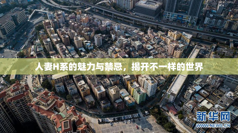人妻H系的魅力与禁忌，揭开不一样的世界