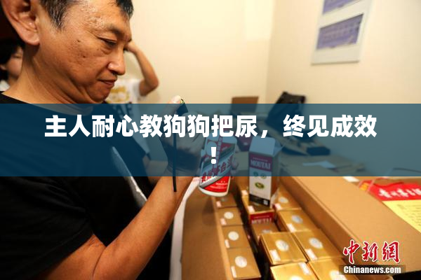 主人耐心教狗狗把尿，终见成效！