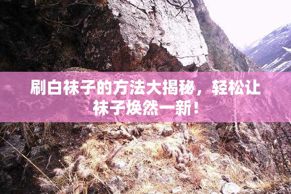 刷白袜子的方法大揭秘，轻松让袜子焕然一新！