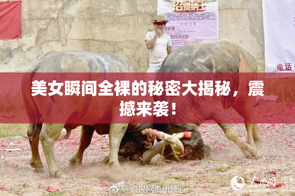 美女瞬间全裸的秘密大揭秘，震撼来袭！