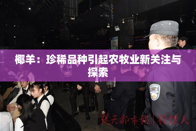 椰羊：珍稀品种引起农牧业新关注与探索