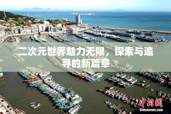 二次元世界魅力无限，探索与追寻的新篇章