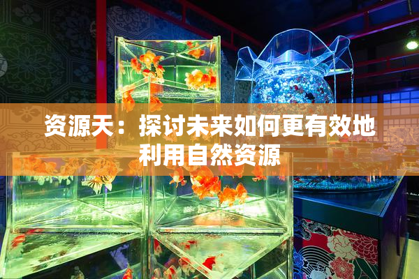 资源天：探讨未来如何更有效地利用自然资源
