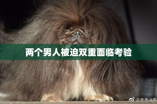 两个男人被迫双重面临考验