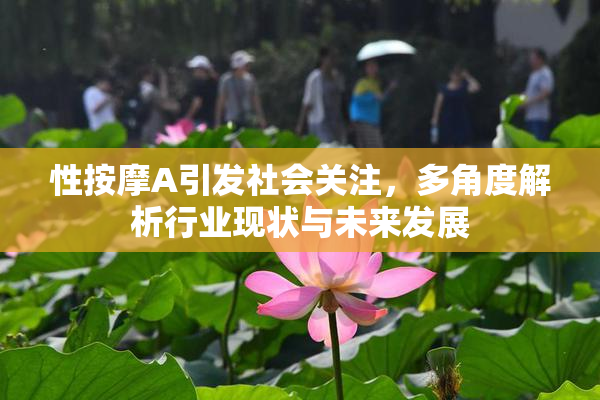 性按摩A引发社会关注，多角度解析行业现状与未来发展