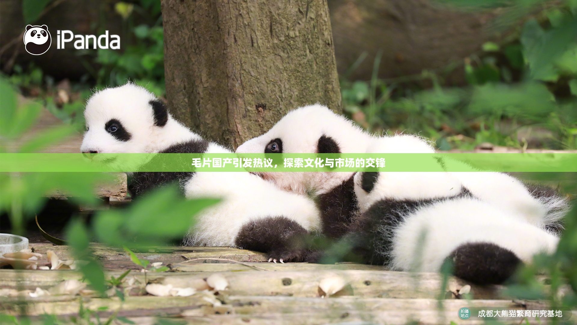 毛片国产引发热议，探索文化与市场的交锋