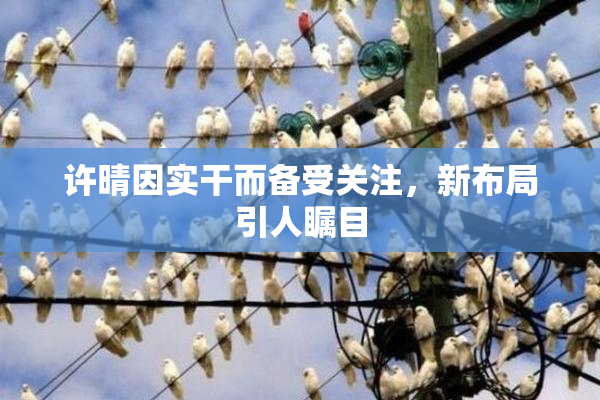 许晴因实干而备受关注，新布局引人瞩目