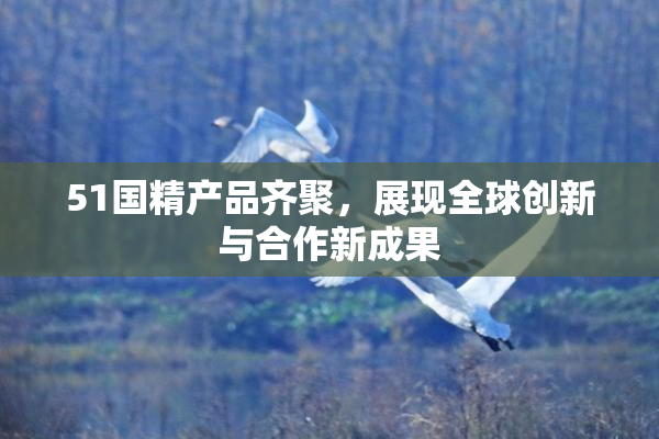 51国精产品齐聚，展现全球创新与合作新成果