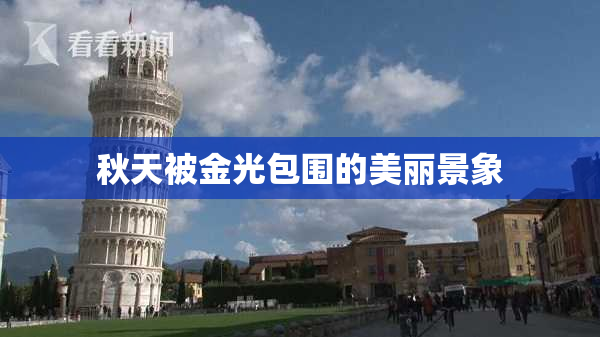 秋天被金光包围的美丽景象