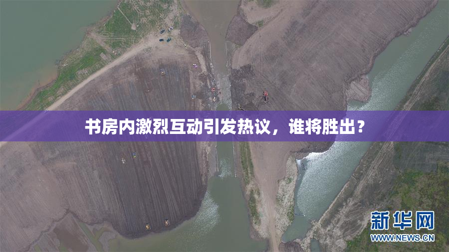 书房内激烈互动引发热议，谁将胜出？
