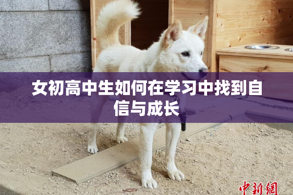 女初高中生如何在学习中找到自信与成长