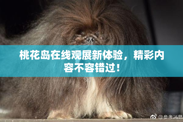 桃花岛在线观展新体验，精彩内容不容错过！