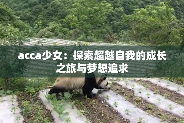 acca少女：探索超越自我的成长之旅与梦想追求