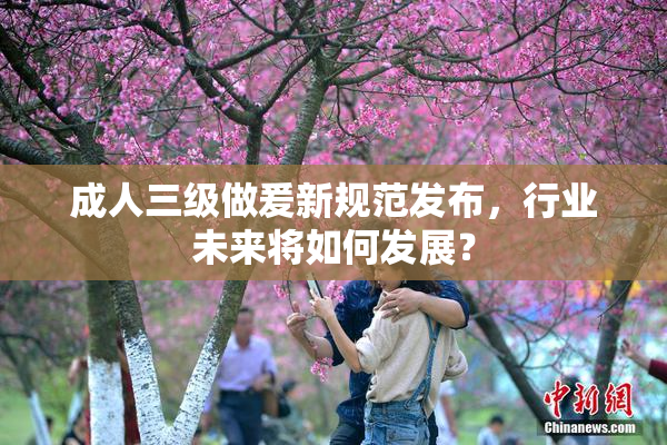 成人三级做爰新规范发布，行业未来将如何发展？