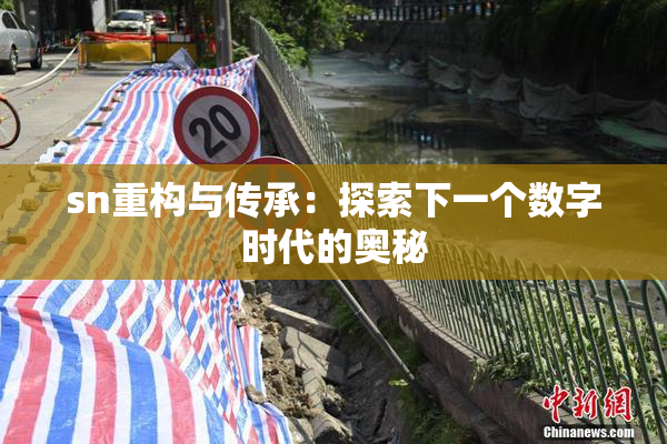 sn重构与传承：探索下一个数字时代的奥秘