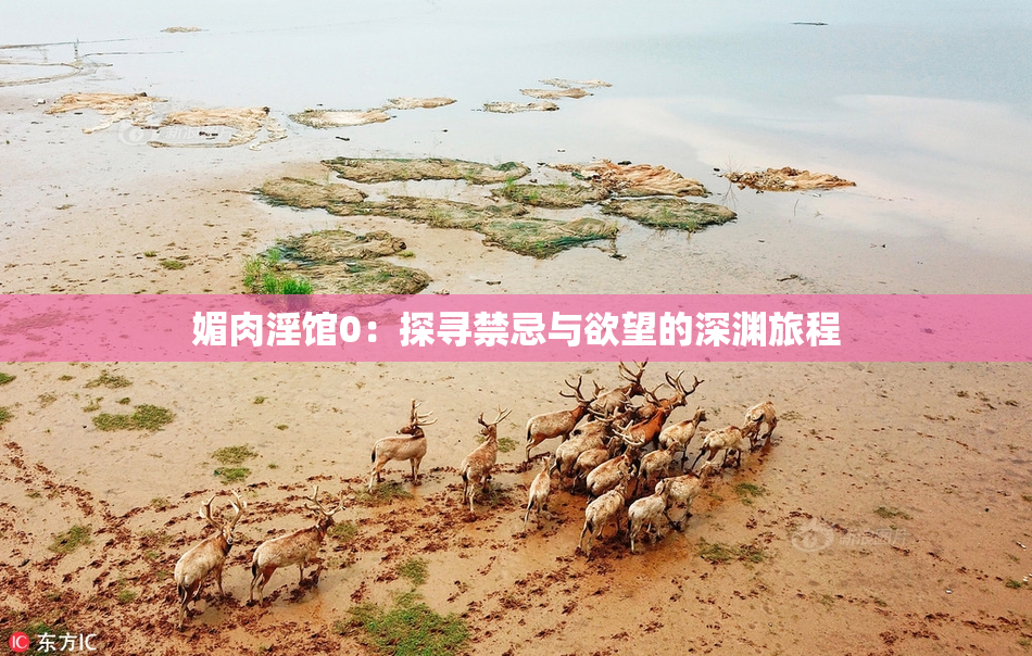 媚肉淫馆0：探寻禁忌与欲望的深渊旅程