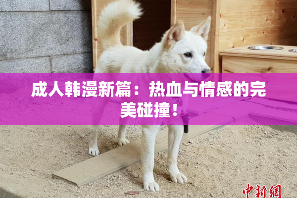 成人韩漫新篇：热血与情感的完美碰撞！
