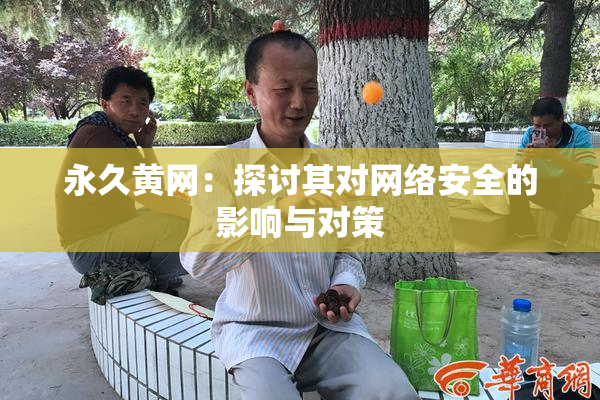 永久黄网：探讨其对网络安全的影响与对策