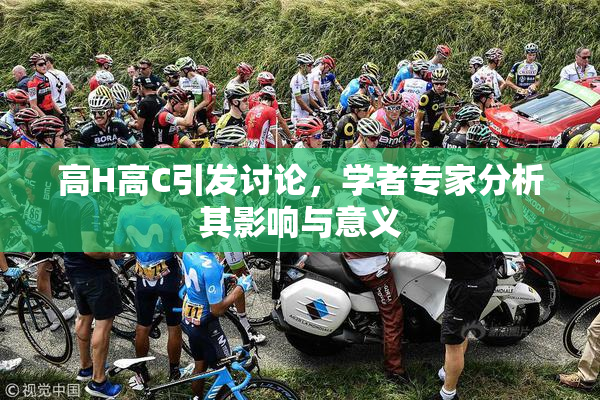 高H高C引发讨论，学者专家分析其影响与意义