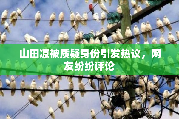 山田凉被质疑身份引发热议，网友纷纷评论