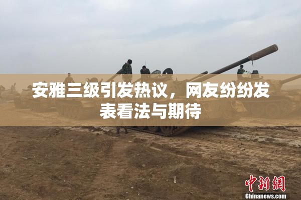 安雅三级引发热议，网友纷纷发表看法与期待