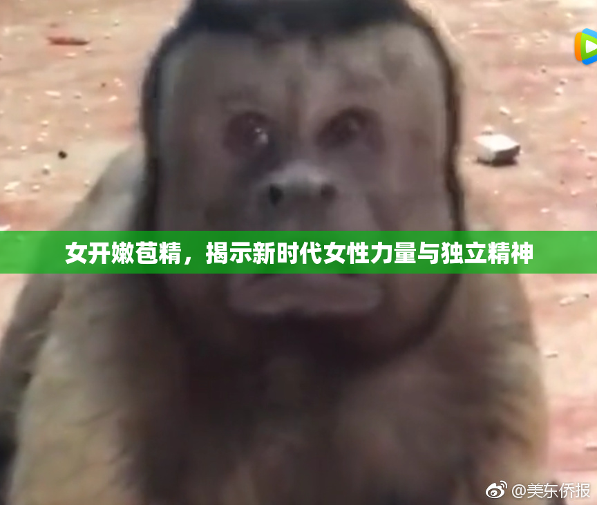女开嫩苞精，揭示新时代女性力量与独立精神