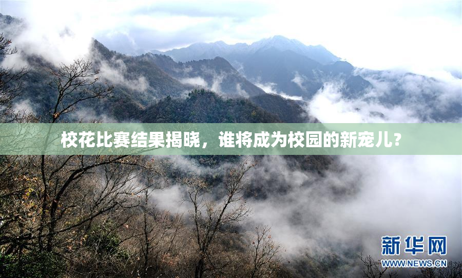校花比赛结果揭晓，谁将成为校园的新宠儿？
