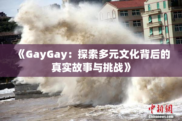 《GayGay：探索多元文化背后的真实故事与挑战》