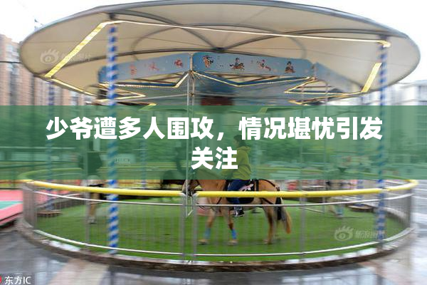 少爷遭多人围攻，情况堪忧引发关注
