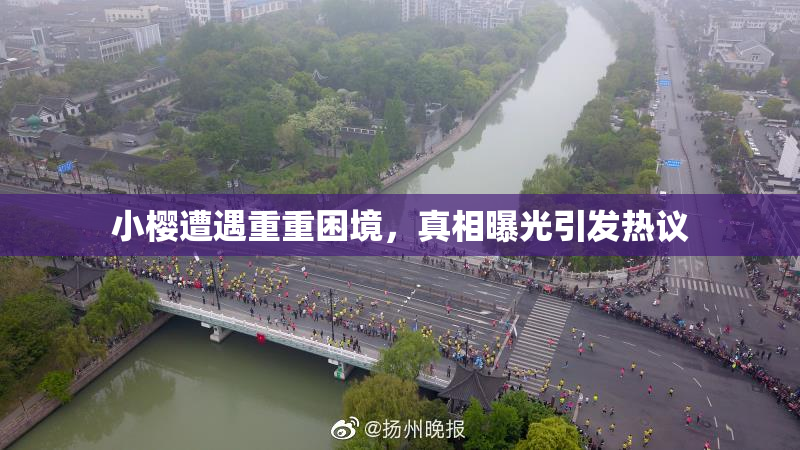 小樱遭遇重重困境，真相曝光引发热议