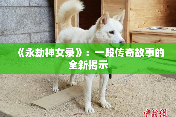 《永劫神女录》：一段传奇故事的全新揭示