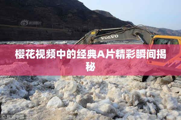 樱花视频中的经典A片精彩瞬间揭秘