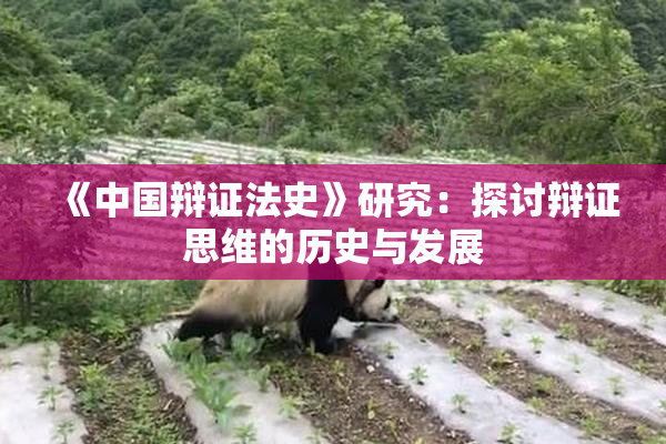 《中国辩证法史》研究：探讨辩证思维的历史与发展