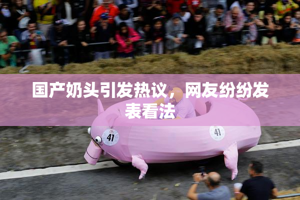 国产奶头引发热议，网友纷纷发表看法