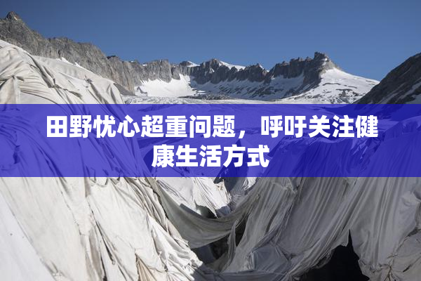 田野忧心超重问题，呼吁关注健康生活方式