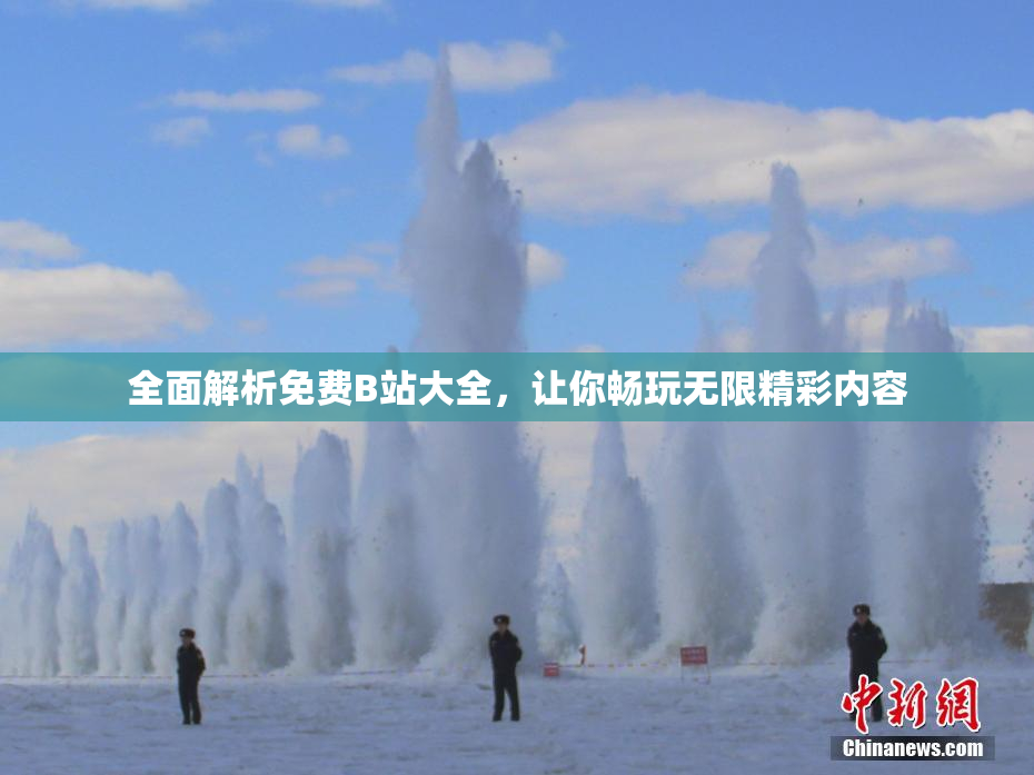 全面解析免费B站大全，让你畅玩无限精彩内容